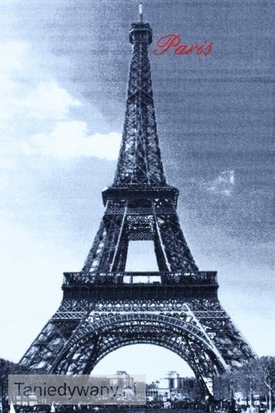 Obrazek Miasta Capital Paris