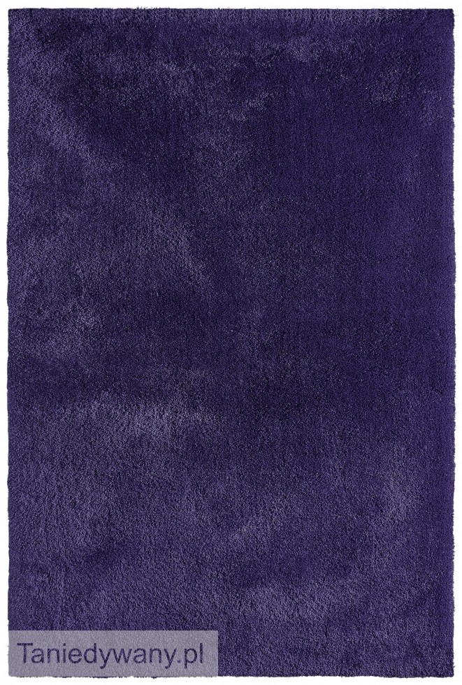 Obrazek Obsession SANZEE 650 Purple