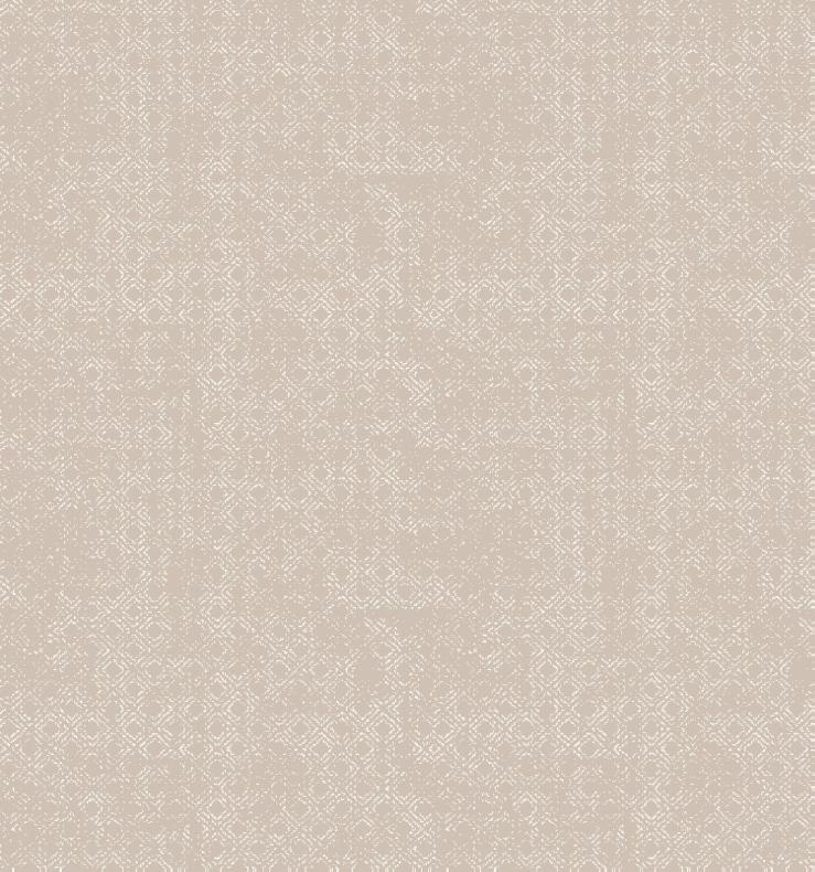 Obrazek Wykładzina dywanowa Kupon LUSH 40152 Jasny Beż