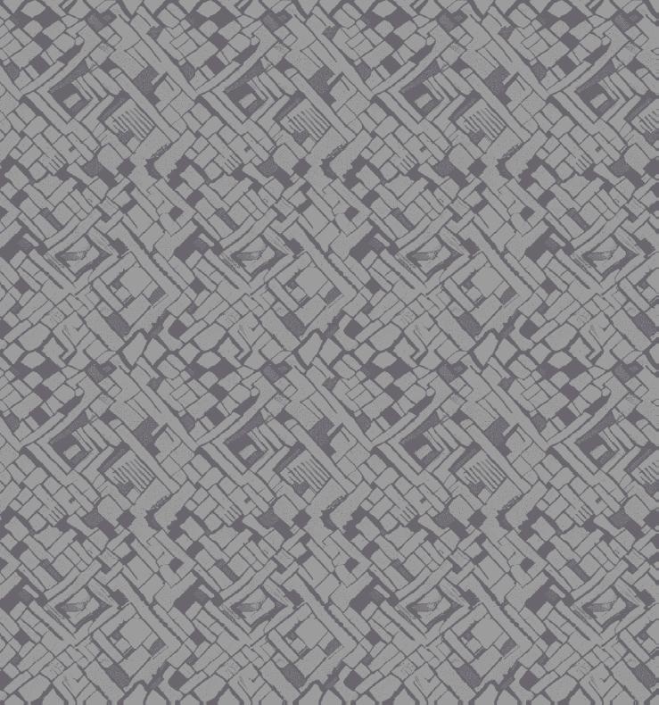 Obrazek Wykładzina dywanowa Kupon SOFT 20081 Granit