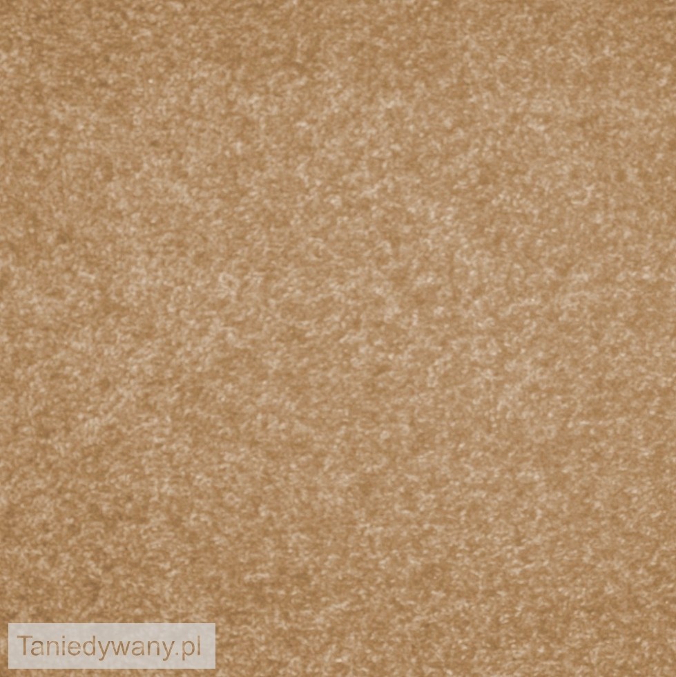 Obrazek Wykładzina dywanowa Lumena/Dynasty 70