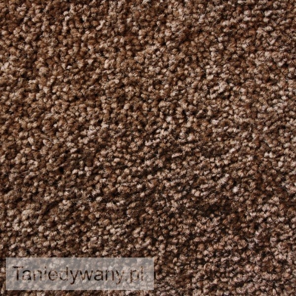 Obrazek Wykładzina dywanowa shaggy Mistral 17
