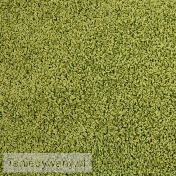 Obrazek Wykładzina dywanowa shaggy Tampa