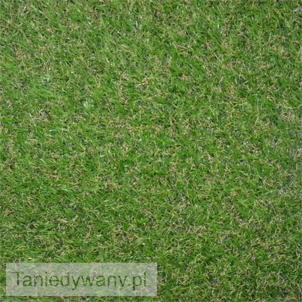 Obrazek Wykładzina sztuczna trawa BASIC  VERDE