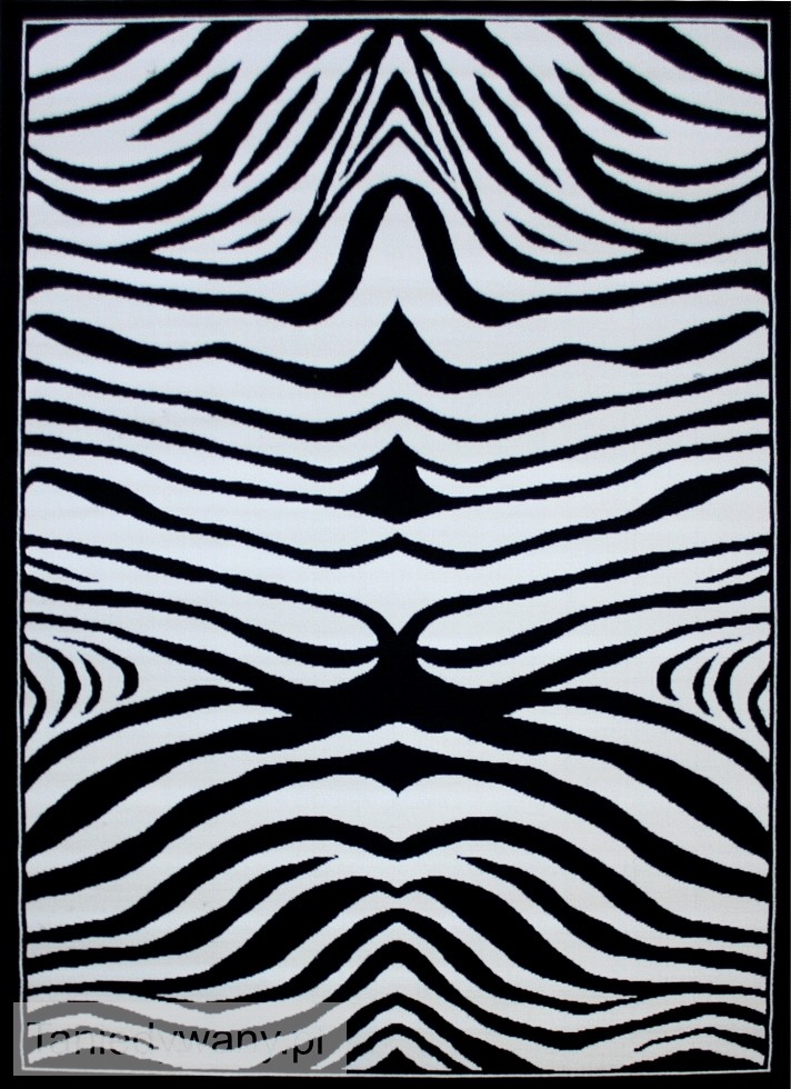 Obrazek BCF 46231 Zebra