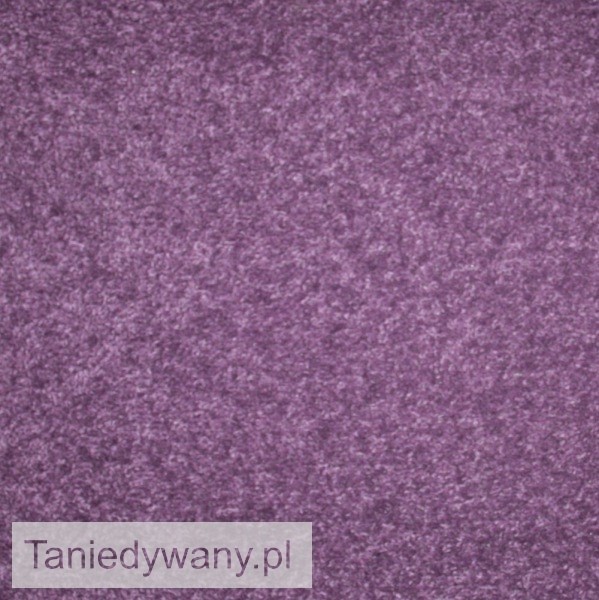 Obrazek Wykładzina dywanowa Lumena 45 Fiolet
