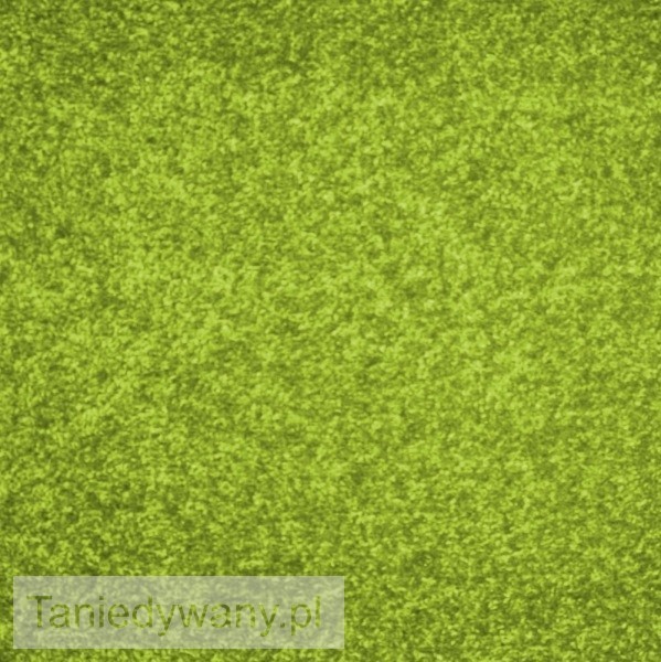 Obrazek Wykładzina dywanowa zielona Dynasty 41