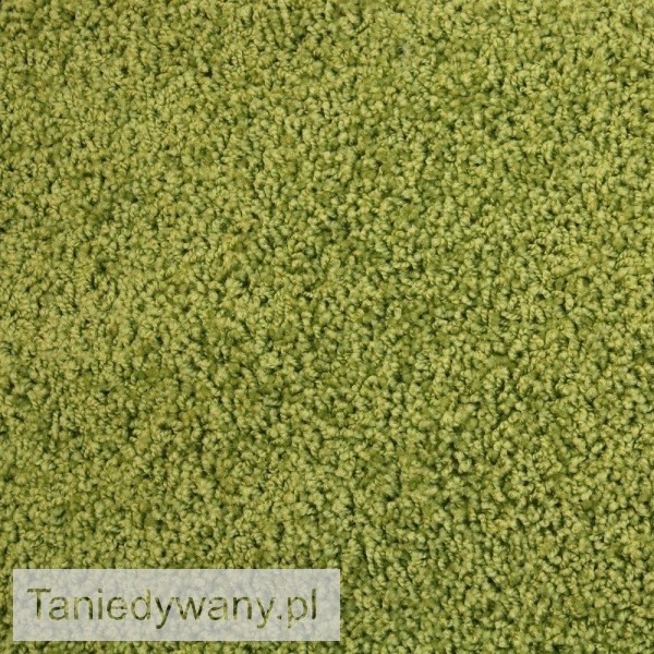Obrazek Wykładzina dywanowa Tampa Zielona