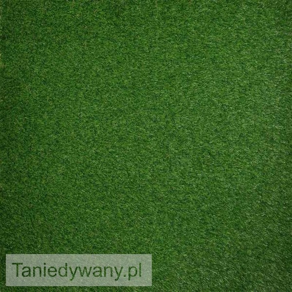 Obrazek Wykładzina sztuczna trawa FRESCO