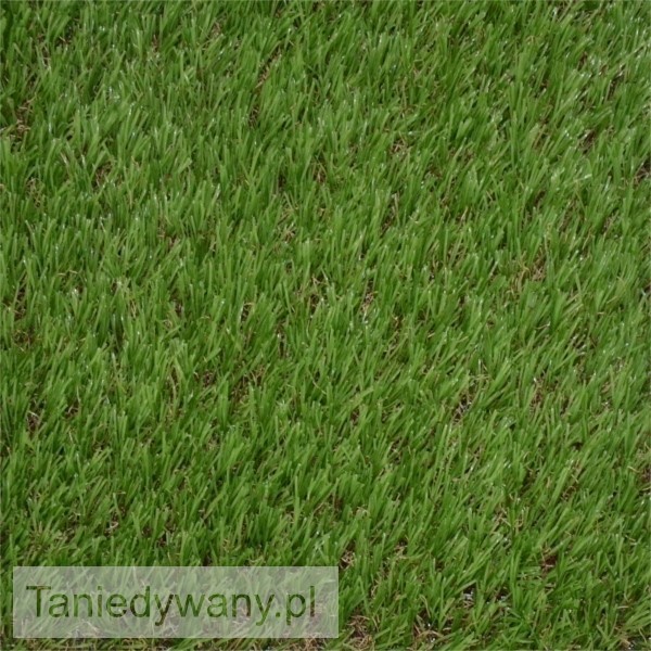 Obrazek Wykładzina sztuczna trawa SOFIATO VERDE